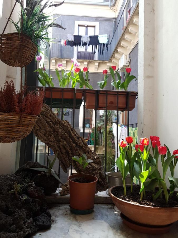 Bellini Apartment Katanya Dış mekan fotoğraf