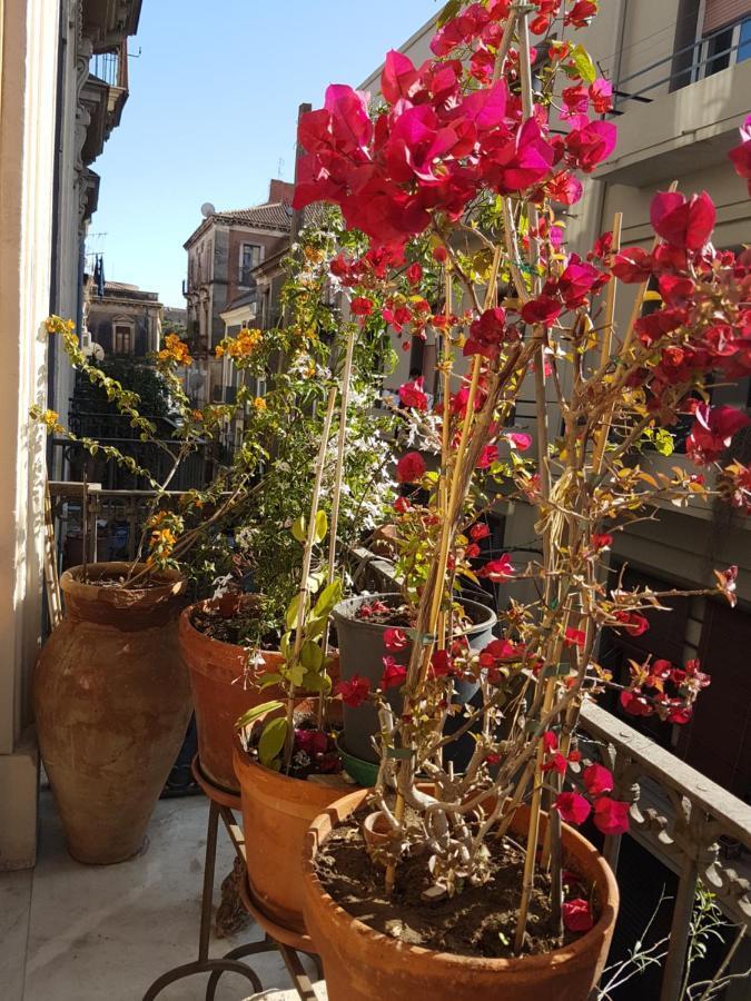 Bellini Apartment Katanya Dış mekan fotoğraf